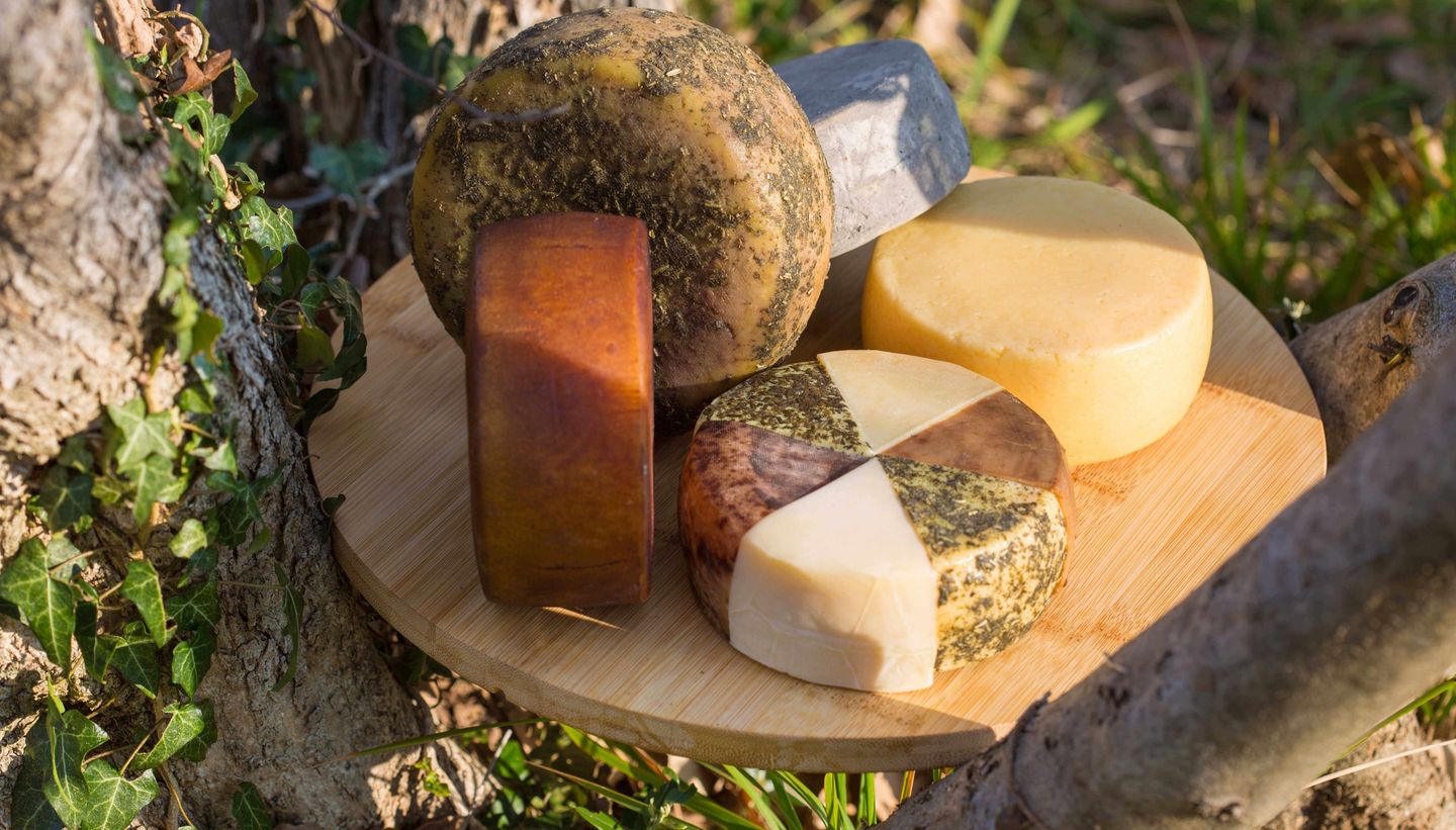 Tour of the Family Cheese Dairy and Cheese Tasting