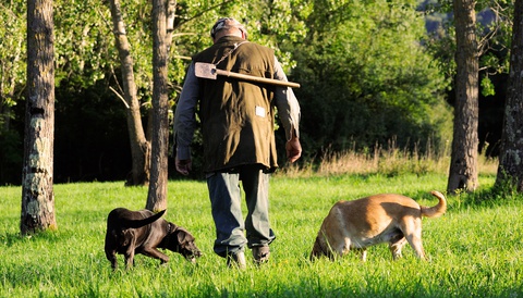 Caccia al tartufo  3