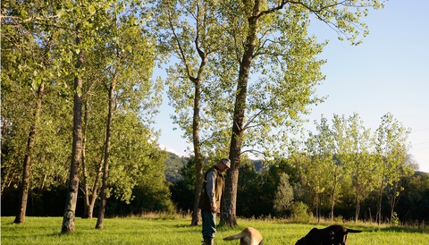 Caccia al tartufo  2