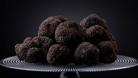 Caccia al tartufo  1