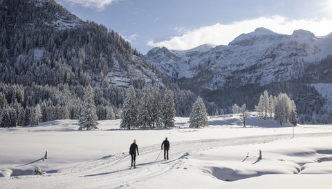 Cross - Country Skiing 1