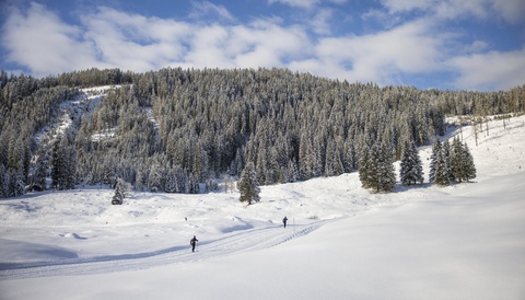 Cross - Country Skiing 2