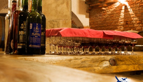 Visita privata di Pelješac 7