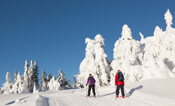 Private cross-country skiing training session with instructor on the snowy slopes of Gnadenalm, Obertauern.