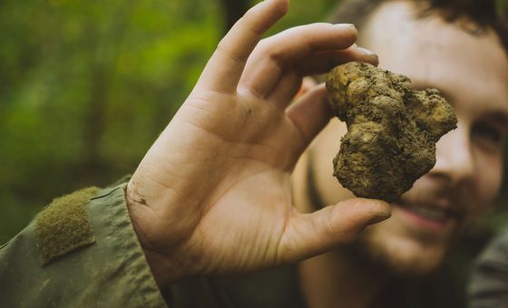 Person holding a freshly found truffle in the forest during a truffle-hunting experience.