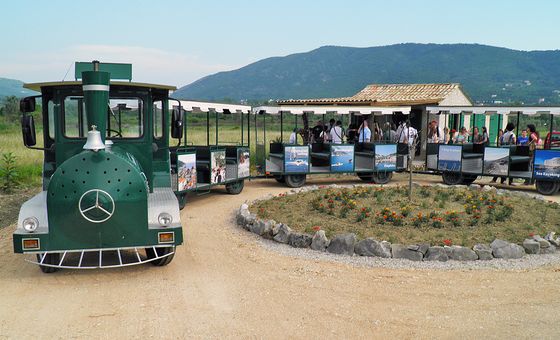 Tourist vineyard train in Konavle offering wine tasting tours near Dubrovnik, Croatia