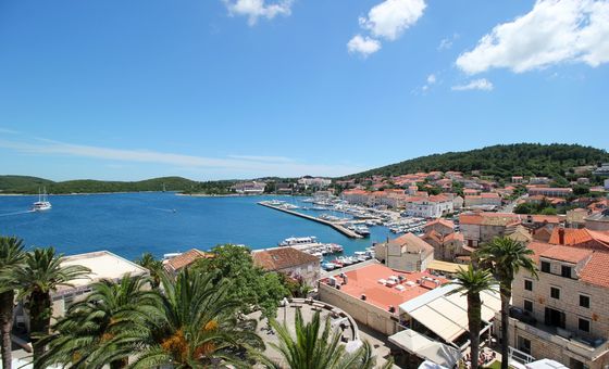 Panoramic view of Korčula Old Town harbor with palm trees and marina, Croatia