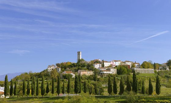 Hilltop village of Oprtalj in Istria, Croatia surrounded by vineyards and cypress trees under blue sky
